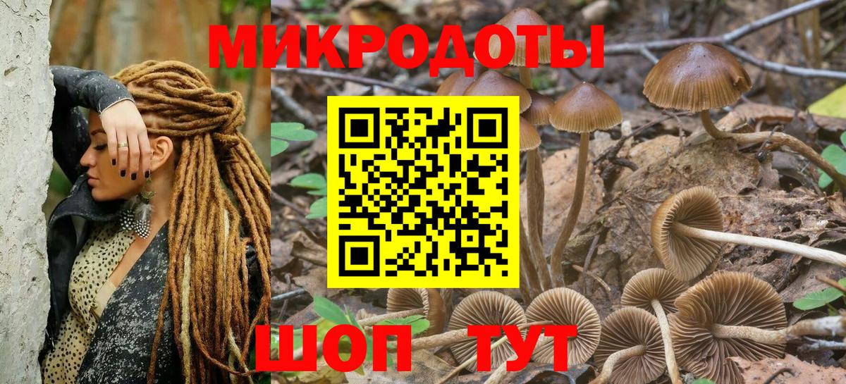 Шарыпово  Псилоцибиновые грибы Psilocybe  Вход с VPN 
